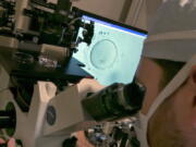 FILE - An embryologist uses a microscope to examine an embryo, visible on a monitor, center, at a clinic in New York on Thursday, Oct. 3, 2013. Black-white disparities exist in fertility medicine, according to a study of U.S. births, released on Wednesday, Oct. 19, 2022. Researchers found a gap in deaths of infants born to Black women who used fertility treatment compared to white women, a gap much wider than seen in babies born without fertility treatment.