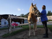 Dionne Williamson, of Patuxent River, Md., grooms Woody before her riding lesson at Cloverleaf Equine Center in Clifton, Va., Tuesday, Sept. 13, 2022. After finishing a tour in Afghanistan in 2013, Williamson felt emotionally numb. As the Pentagon seeks to confront spiraling suicide rates in the military ranks, Williamson's experiences shine a light on the realities for service members seeking mental health help.