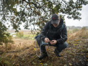 Eileen Cowen examines a fallen bundle of lichen at Shillapoo Wildlife Area, which she may use as a salve after doing further research.