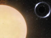 This illustration provided by NOIRLab in November 2022 depicts the closest black hole to Earth and its Sun-like companion star. The binary system, about 1,600 light years from Earth, was initially identified using the European Space Agency's Gaia spacecraft. Astronomers followed up with the International Gemini Observatory in Hawaii to confirm their findings. (International Gemini Observatory/NOIRLab/NSF/AURA/J. da Silva/Spaceengine/M.