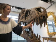 Cassandra Hatton, senior vice president, global head of department, Science & Popular Culture at Sotheby's, touches the tooth of a Tyrannosaurus rex skull excavated from Harding County, South Dakota, in 2020-2021, in New York City on Friday, Nov. 4, 2022. When auctioned in December, the auction house expects the dinosaur skull to sell for $15 to $25 million.