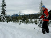 Mount Adams is visible in the background near the junction of the Hardtime Loop and Scenic Loop trails northeast of Koshko Sno-Park in the Wind River area.