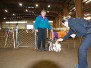 Lori Sage, the owner of K-9 Sports, handles her dogs Crinkle, a sheltie; Blip, a Chinese crested; and Javier, a Chihuahua.