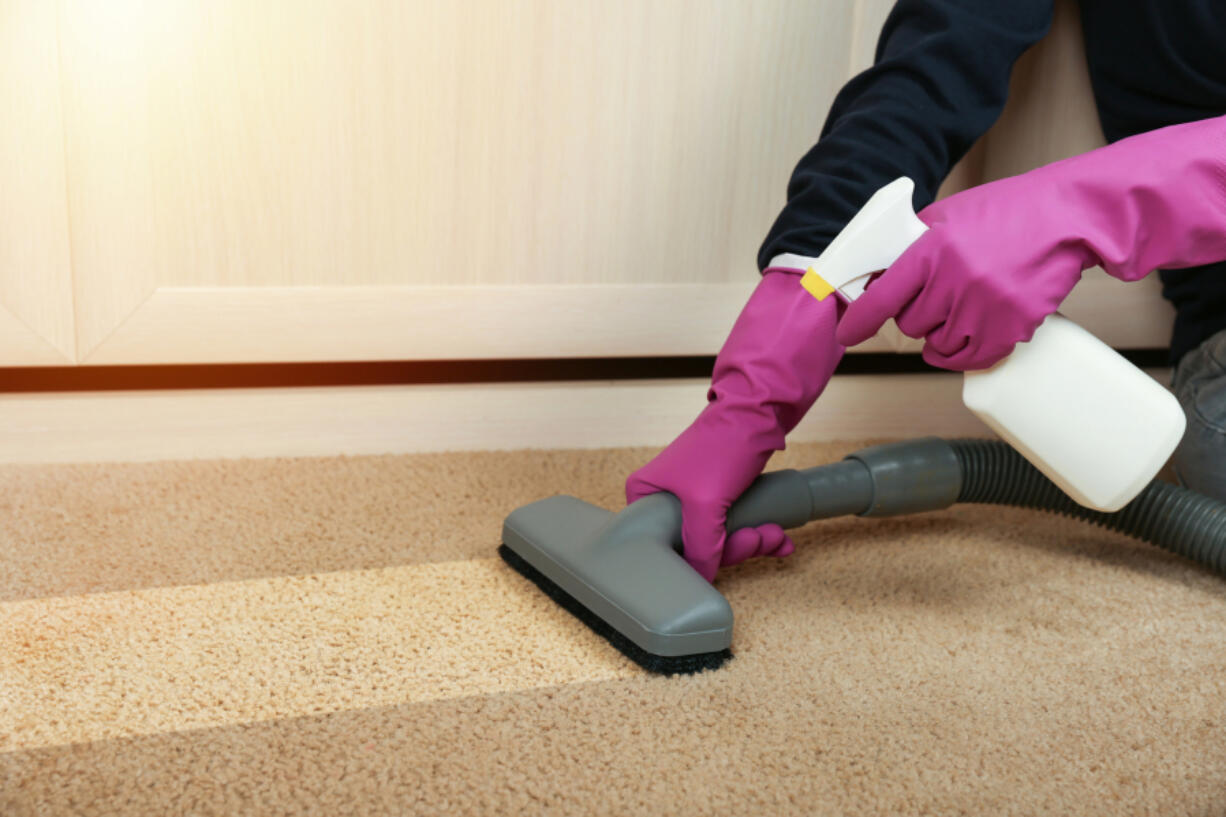 Carpet cleaning is a common post-holiday cleanup job.