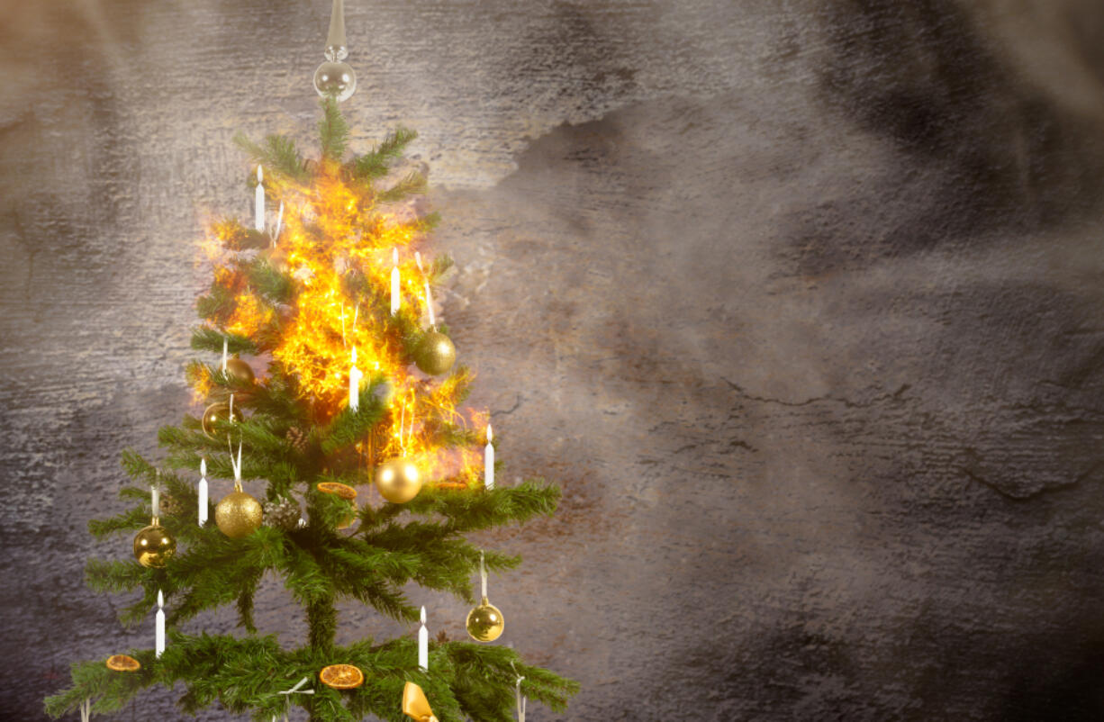 Christmas trees pose a unique fire risk because of how flammable they are when they dry out.