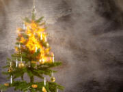 Christmas trees pose a unique fire risk because of how flammable they are when they dry out.