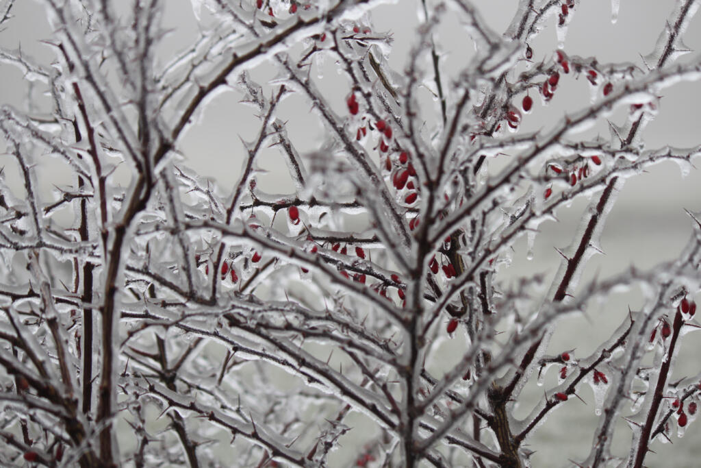 Southwest Washington could be in for ice and freezing rain as the holiday approaches.