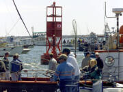 The mob scene at the opening of the Buoy 10 season inside the mouth of the Columbia River.