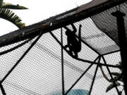 A spider monkey moves within their habitat at the Santa Ana Zoo on Friday, Dec. 2, 2022, in Santa Ana, California.