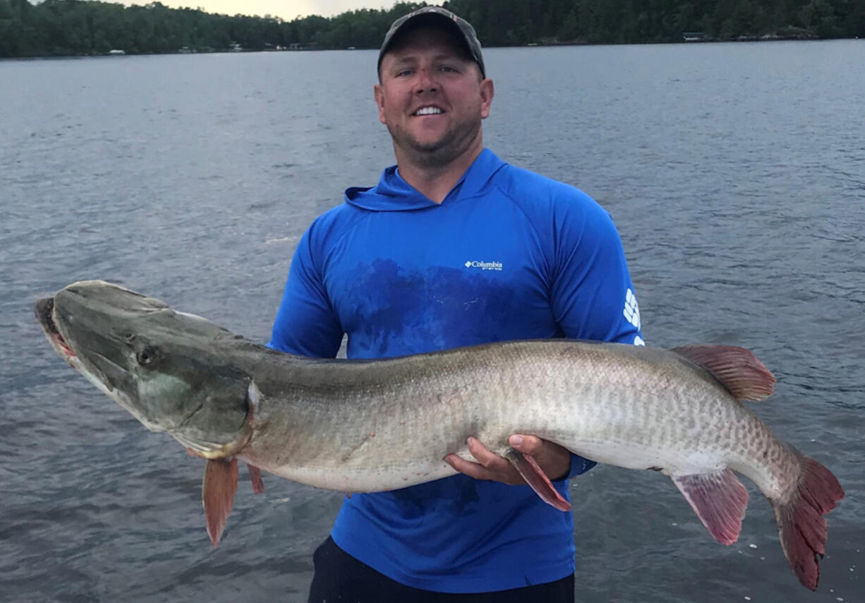 Corey Kitzmann of Davenport, Iowa, owns the new Minnesota muskie release record. He caught this 57 1/4 inch fish while on Lake Vermilion on Aug. 6, 2019.