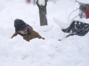 Tommy Roetzer digs out his driveway on West Delavan Street in Buffalo, N.Y., on Monday, Dec. 26, 2022.