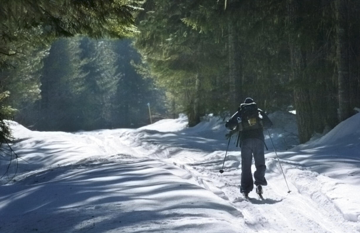 A cross-country skier takes the Natural Bridges loop near Trout Lake.