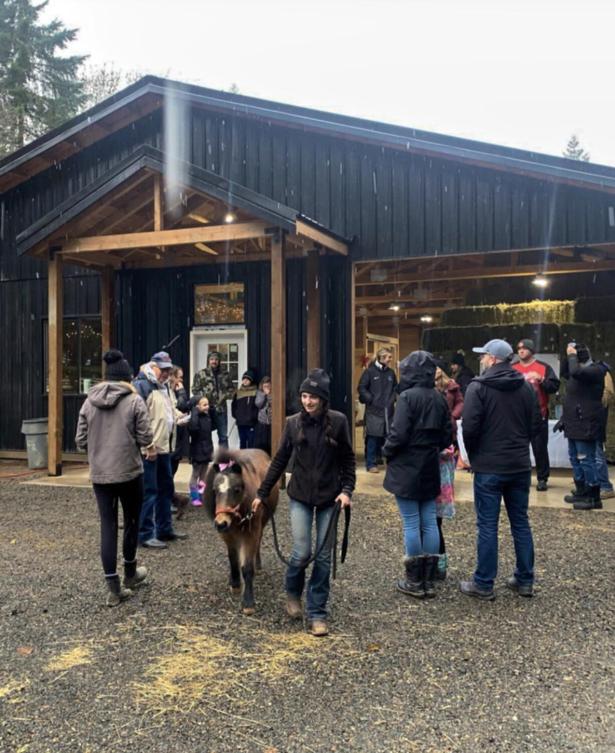 Hope Batchelder, a class of 2023 graduate who recently completed her studies at TEAM High School, Woodland Public Schools' alternative high school, volunteers at Healing Steps, an occupational therapy clinic offering people with disabilities rehabilitative therapy using horseback riding and horse care.