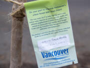 An informative tag sits next to a recently planted crepe myrtle along Plomondon Street. City-approved trees can be reviewed on urban forestry's website.