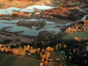 An aerial view shows flooded abandoned gravel pits along the East Fork of Lewis River west of Daybreak Park in north Clark County.  The river, winding at far right, flows into the pit area and widens considerably, slowing down and heating up during summer months.