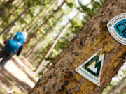 Continental Divide Trail and Colorado Trail signage on a tree.