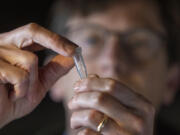 Colin Purrington, a retired Swarthmore College biology professor at his home in Swarthmore, holds a tube with a tiny wasp that he found in a dried fig from Trader Joe's. (Alejandro A.