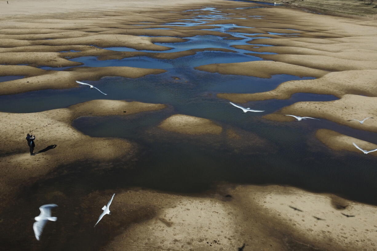 FILE - Birds fly over a man taking photos of the exposed riverbed of the Old Parana River, a tributary of the Parana River, during a drought in Rosario, Argentina, on July 29, 2021. Climate change isn't causing the multi-year drought that is devastating parts of Argentina, Uruguay, Brazil and Bolivia, but warming is worsening some of the dry spell's impacts, a new study says.