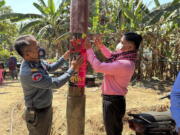 In this photo released by the Cambodia Ministry of Health, a Cambodia animal health officer, right, and a military police officer place posters about awareness of H5N1 virus threats in hopes of educating villagers to take care of their health, in Prey Veng eastern province Cambodia, Thursday, Feb. 23, 2023. An 11-year-old girl in Cambodia has died from bird flu in the country's first known human H5N1 infection since 2014, health officials said.