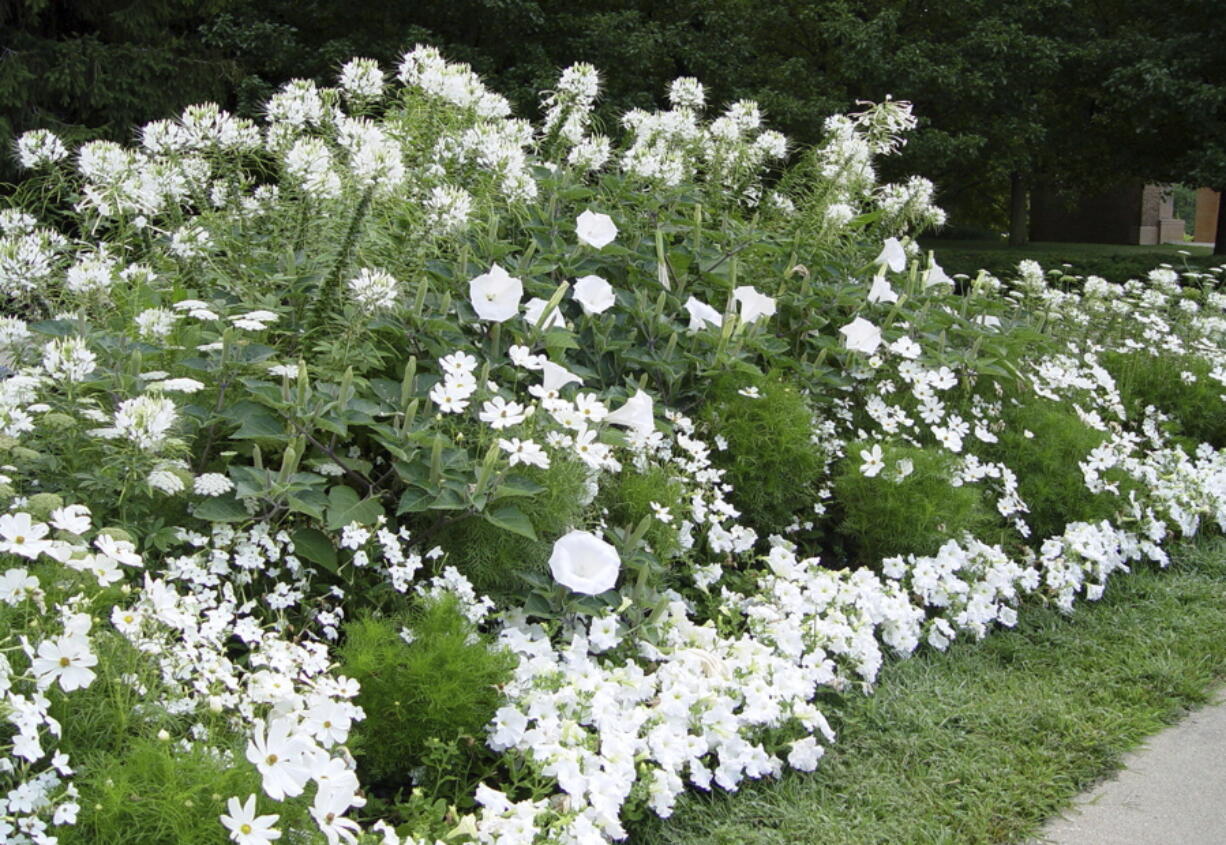 This 2005 image provided by landscape and garden designer Deborah Silver shows a moon garden she designed and planted at the Cranbrook Educational Community museum complex in Bloomfield Hills, Mich.(Deborah Silver via AP) (Deborah Silver)