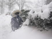 Arturo Diaz enjoys playing in a deep snow bank Feb. 1, 2021, in Hoboken, N.J. With leafy branches in winter, evergreens are especially good at catching snow, which can be bent, even broken by a heavy snow load.