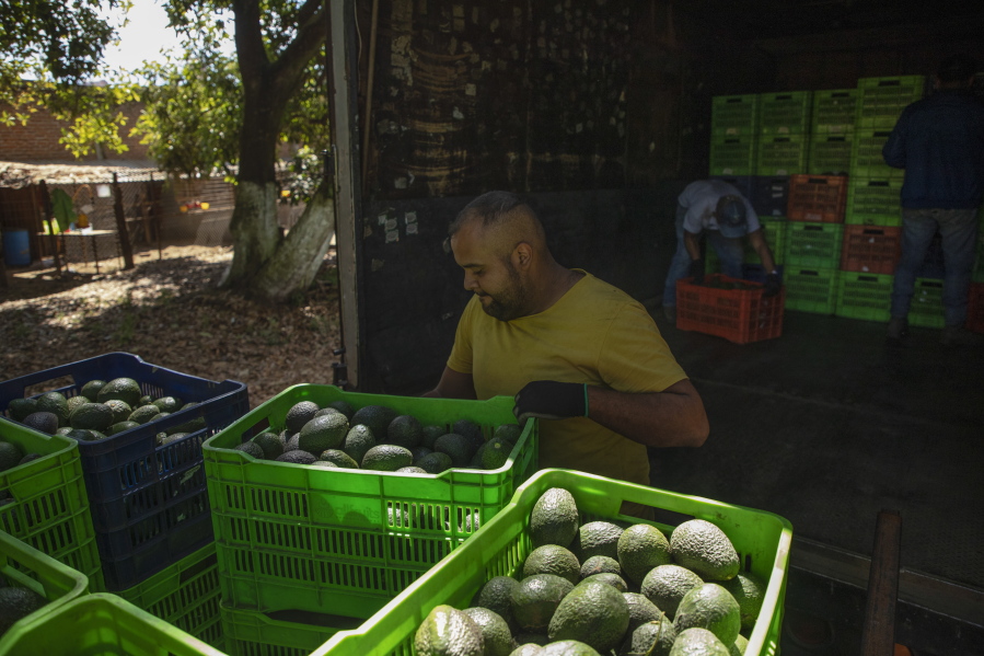 Route to Super Bowl is dangerous for Mexico's avocado haulers - The  Columbian