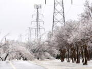 An iced over pedestrian walkway is lined by trees that are covered with ice from a few days of sleet and rain, Thursday, Feb. 2, 2023, in Dallas.