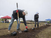 Pat Henderson, left, and his daughter Paisley plant a variety of native trees and shrubs with other volunteers at an event in Camas hosted by the Watershed Alliance of Southwest Washington. The pair have regularly volunteered with the nonprofit since 2019.