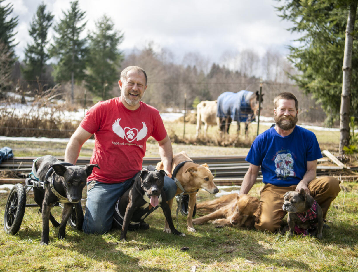 Angels with Misplaced Wings animal sanctuary founders Jeff Evans, left, and Michael Allen, pose with dogs and farm animals at Angels with Misplaced Wings Sanctuary in Amboy.