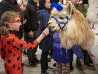 Purim celebration at Chabad Jewish Center photo gallery