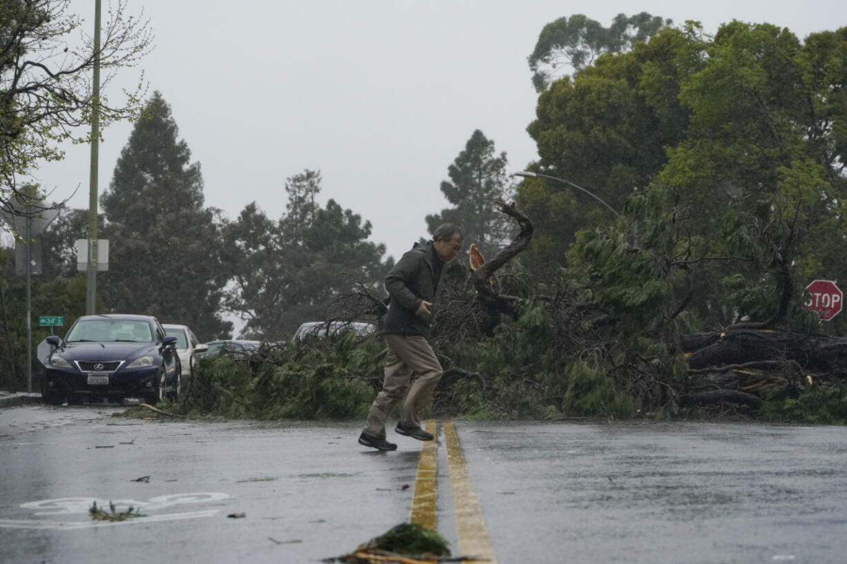 A tree downed by high winds blocks Webster Street in Oakland, Calif., Tuesday, March 21, 2023. (AP Photo/Godofredo A.