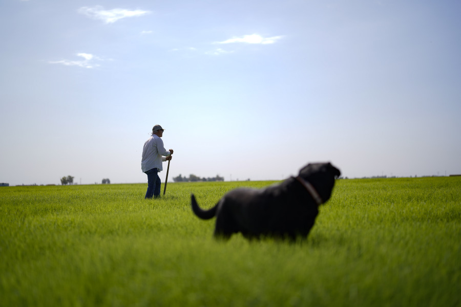 In dry West farmers balk at idling land to save water The Columbian