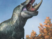 This illustration provided by Mark P. Witton in March 2023 depicts a juvenile Edmontosaurus being eaten by a Tyrannosaurus rex with a lipped mouth. The teeth on T. rex and other big theropods were likely covered by scaly lips, concludes a study published Thursday, March 30, 2023, in the journal Science. The dinosaur's teeth didn't stick out when its mouth was closed, and even in a wide open bite, you might just see the tips, the scientists found. (Mark P.