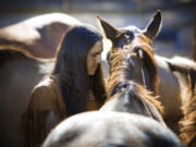 In this photo provided by Sacred Way Sanctuary, He Stalks One spends time with a horse in Alabama in 2021. These horses are the descendants of those that accompanied the Cherokee, Choctaw, Muscogee, Chickasaw and Seminole Peoples on forced removals, referred to as the "Trail of Tears." In a study published Thursday, March 30, 2023, in the journal Science, a new analysis of horse bones gathered from museums across the Great Plains and northern Rockies has revealed that horses were present in the grasslands by the early 1600s, an earlier date than many written histories suggest.