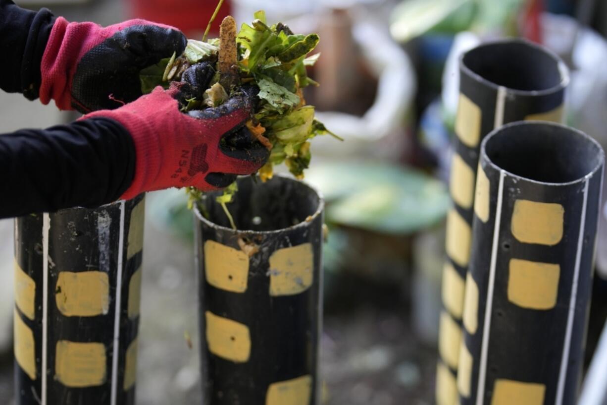 A worker places organic waste inside tubes as they process them at a recycling facility in Malabon, Philippines on Monday Feb. 13, 2023. Food waste emits methane as it breaks down and rots. Waste pickers are helping set up systems to segregate and collect organic waste, and establishing facilities to compost it.