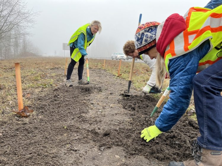 Clockwise right to left, Cindy Eisenman, Dion Gutkind and Melanie Wilson of the East County Citizens Alliance tend to a small "demonstration" garden on state Route 14 close to the Washougal River Road roundabout in January 2023. ECCA members planted the garden to prepare for the 4,000-square-foot wildflower bed they will be planting on the highway later in 2023.