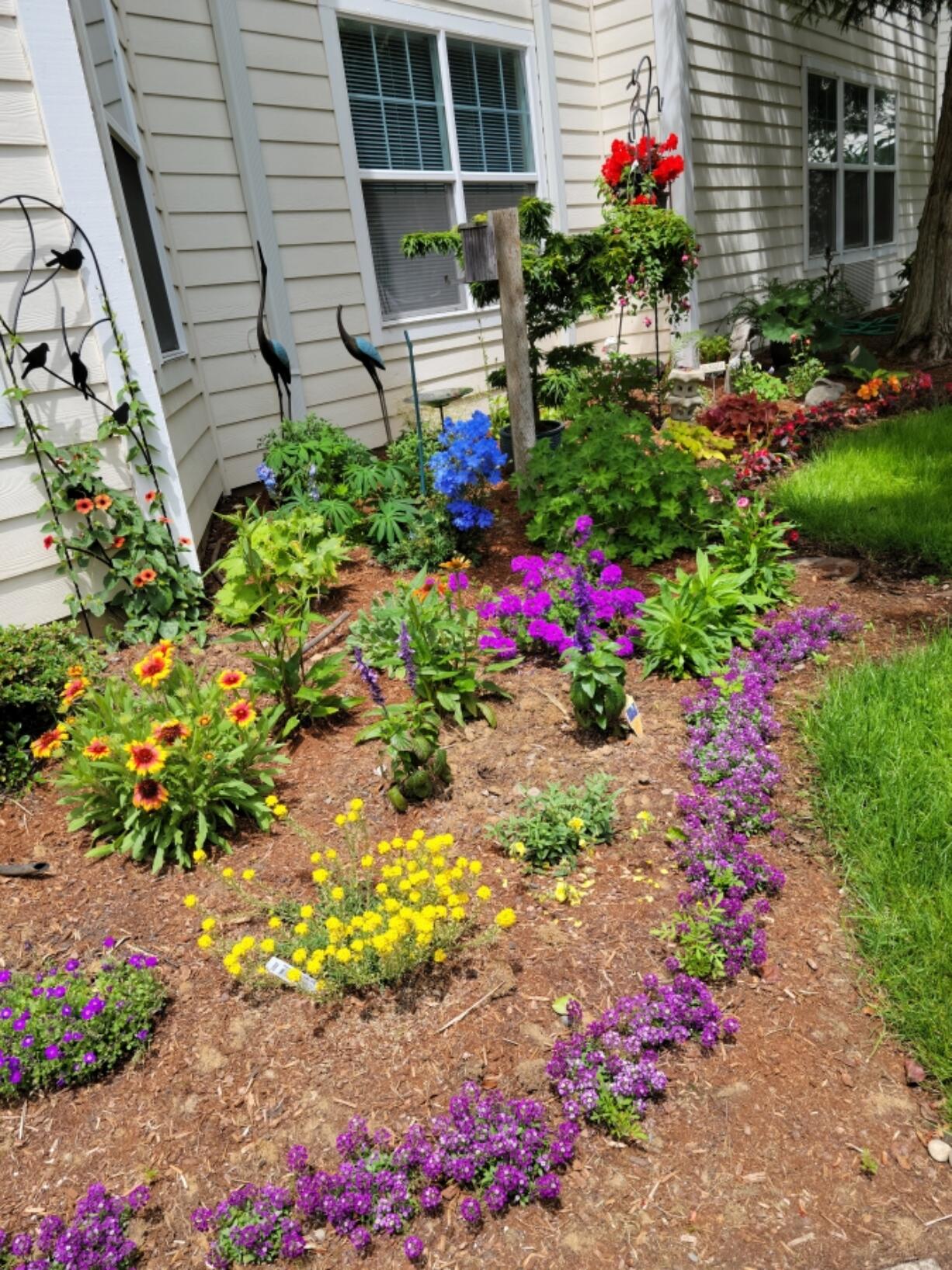 Applying mulch or bark dust helps build up the organic matter in your soil, making heavy clay soil less dense.