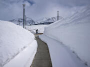 Giant snowbanks border a sidewalk on the Mammoth Lakes campus of Cerro Coso Community College on April 3.