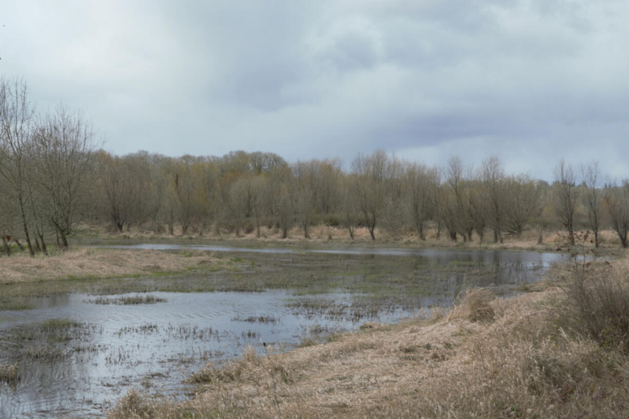 The Cowlitz Indian Tribe is now able to harvest native plants found in the Ridgefield National Wildlife Refuge, which tribal members will use for food, medicine, weaving and ceremonies.