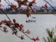 Fish managers will reassess fish run sizes throughout the Columbia River in May and provide an update. To review daily salmon counts, visit Fish Passage Center, www.fpc.org.