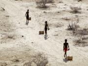 FILE - Young boys pull containers of water as they return to their huts from a well in the village of Ntabasi village amid a drought in Samburu East, Kenya, on Oct, 14, 2022. An international team of climate scientists says the ongoing drought in Eastern Africa has been made worse by human-induced climate change according to a report from World Weather Attribution.