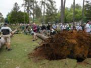 Patrons move away from two trees that blew over on the 17th hole during the second round of the Masters golf tournament at Augusta National Golf Club on Friday, April 7, 2023, in Augusta, Ga.