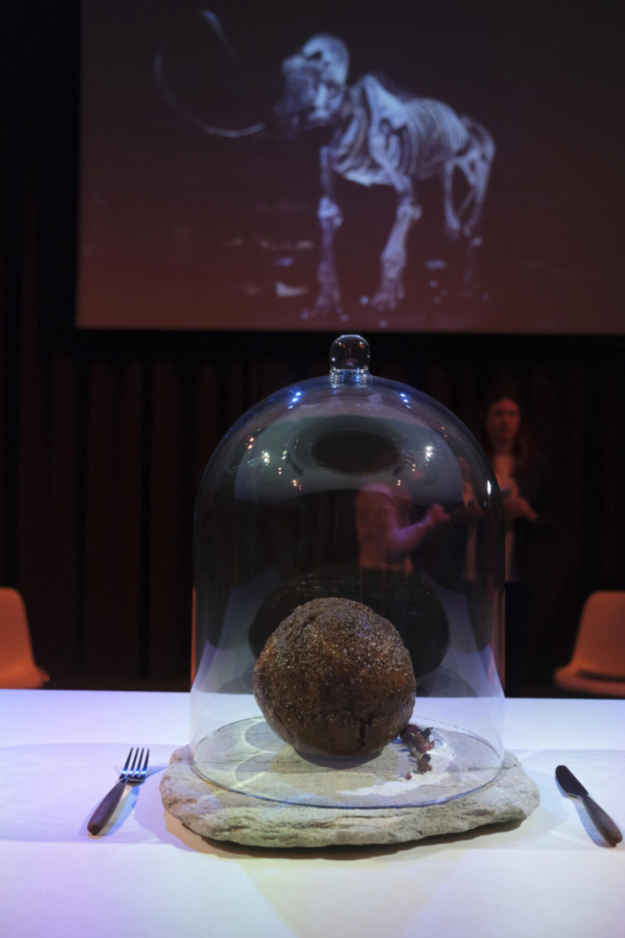 A meatball made using genetic code from the mammoth is seen March 28 at the Nemo science museum in Amsterdam.