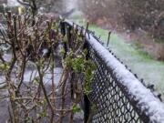 Snow was sticking to landscaping and trees in Clark County on Wednesday morning.