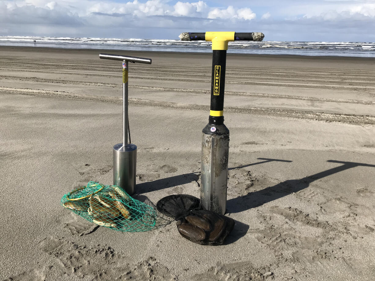 A ClamHawg gun, right, and a Claminator guy, left, are considered among the best clam guns on the market and easiest to use. These clams were all dug on the northern end of the Long Beach Peninsula, a few hundred yards north of the Oysterville Approach.