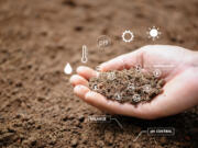 Checking the pH makeup of your soil before you plant will result in healthier plants.