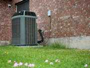 There are a number of common causes for AC units to stop working during a heat wave.