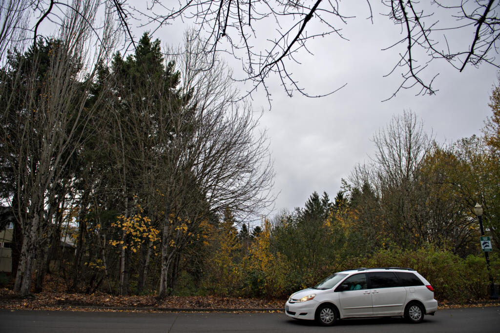 Nearly 19 percent of Vancouver has a tree canopy — roughly 6,066 acres, or the size of 4,600 football fields. From this number, 15 percent of the city’s inventoried trees are maintained by the city and 85 percent are private.