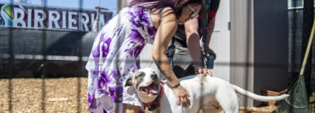 Katie Vongthongthip, left, and her fiancee, Chance Newbill, play with their dog, Nova Scotia, at the Hope Village Safe Stay on Fourth Plain Boulevard. Before moving to Hope Village, the couple lived in a van for five years.