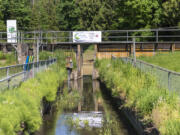 The West Biddle Dam is being replaced to continue supplying water to rear fish, an operation that has lasted since its creation in 1925.